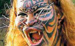 news-20080402-07203702-image.jpg